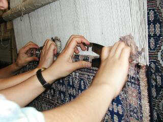 Rows of knots are sheared to give the carpets their smooth surface.